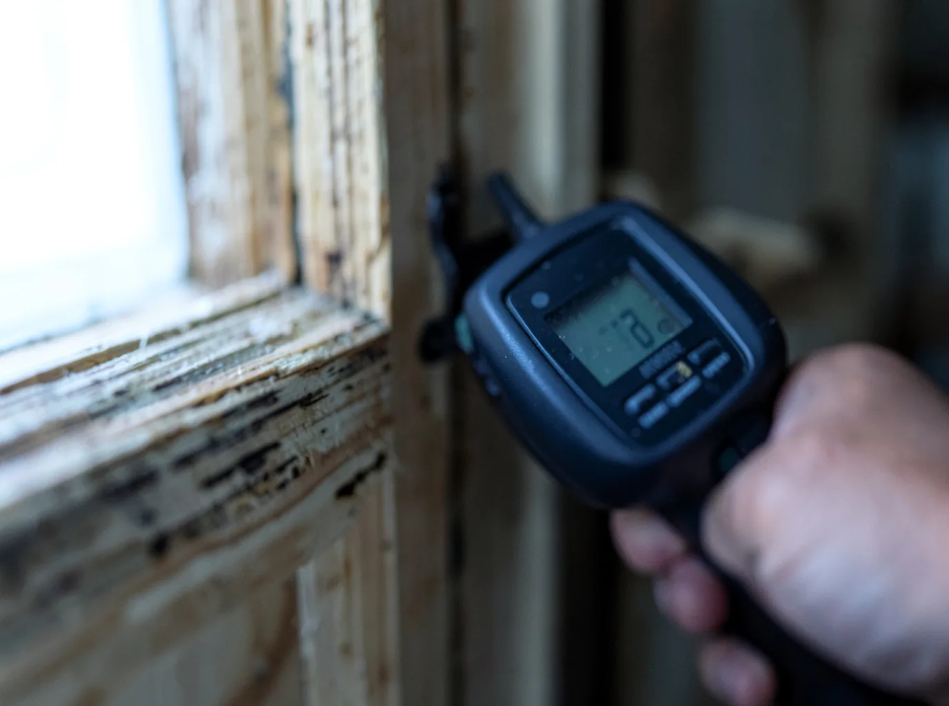 Water Damage Restoration Santa Cruz, NM FAQs